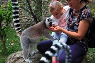 fotók: Veress Tamás