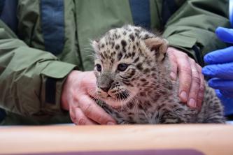 fotók Veress Tamás