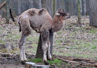 fotók: Veress Tamás