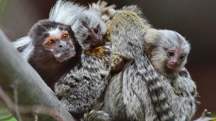 Fotó: Veress Tamás