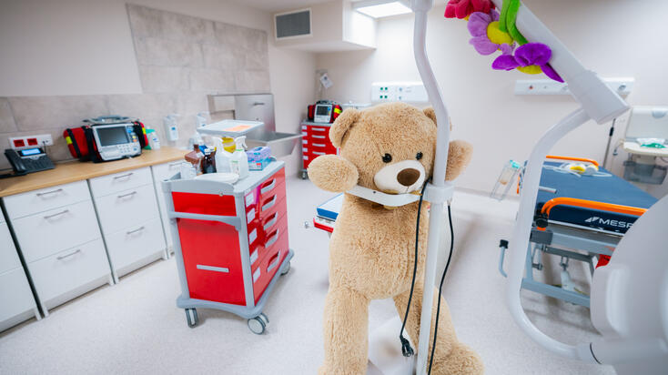 Fotó: SZTE NKI/Kovács-Jerney Ádám