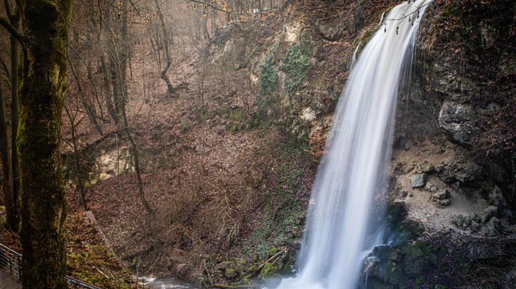 Fotó: Horváth Csongor