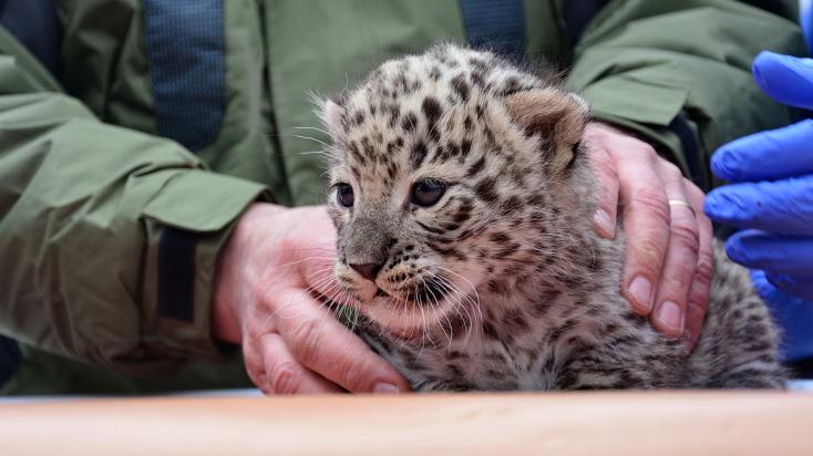 fotók Veress Tamás