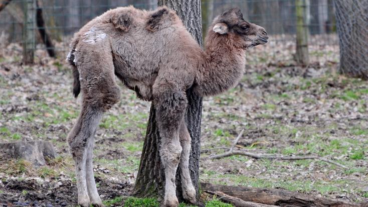 fotók: Veress Tamás