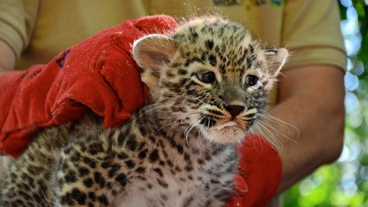 fotók: Veress Tamás