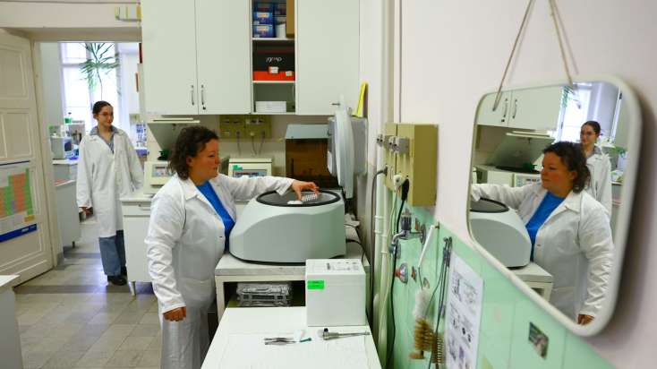 Fotó: SZTE/Bobkó Anna