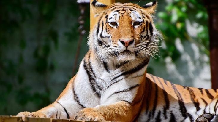 fotók: Veress Tamás